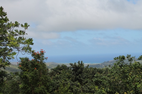 barbados panoramic view