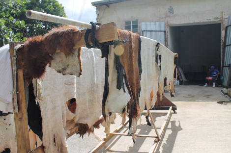 cuttle lather process in barbados